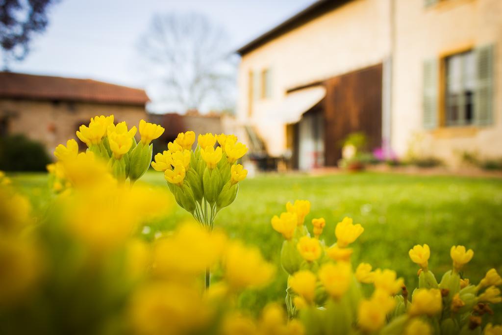 Aux Ronzieres Bed & Breakfast Pouilly-sous-Charlieu Ruang foto